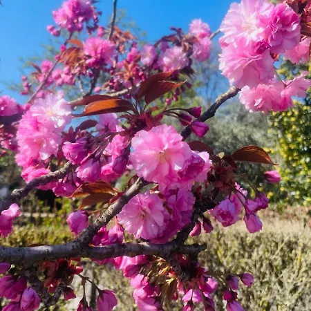 Dietro L'angolo * Gozzano